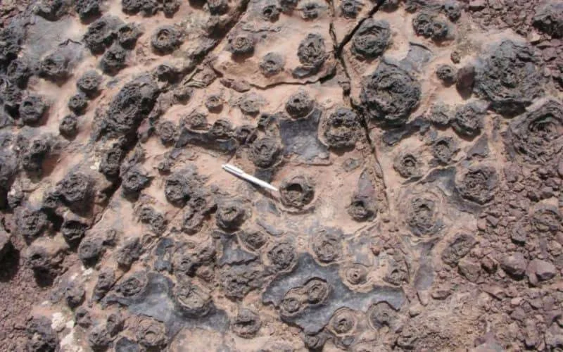 Ontdekking door NASA begeerde microben in Marokko