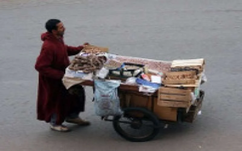 Imazighen kwaad over uitspraak Kamerlid
