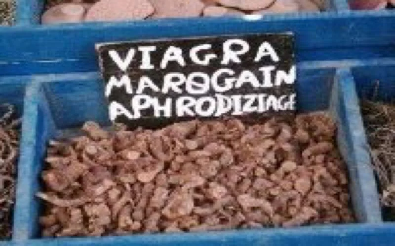 Marokkanen verslaafd aan Viagra