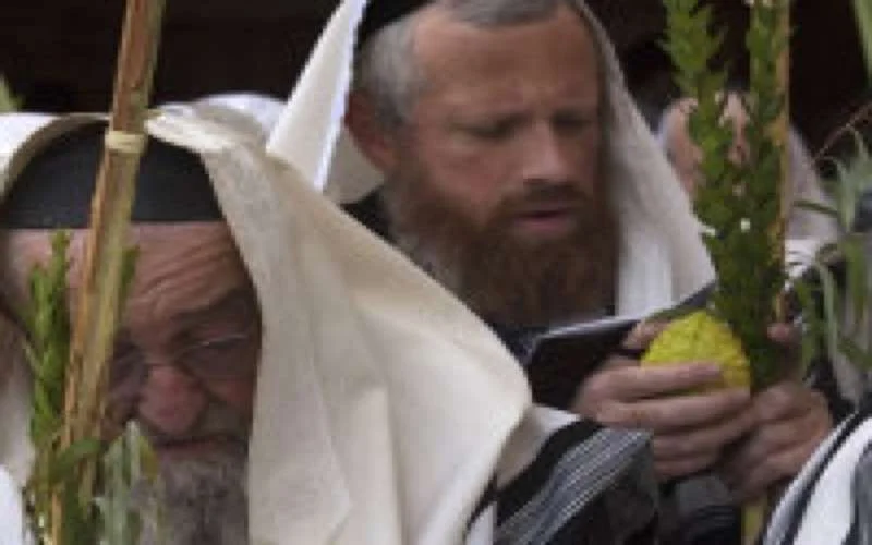 Israël viert Soekot met citroen uit Marokko