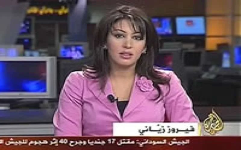 Al Jazeera krijgt toestemming om referendum te dekken