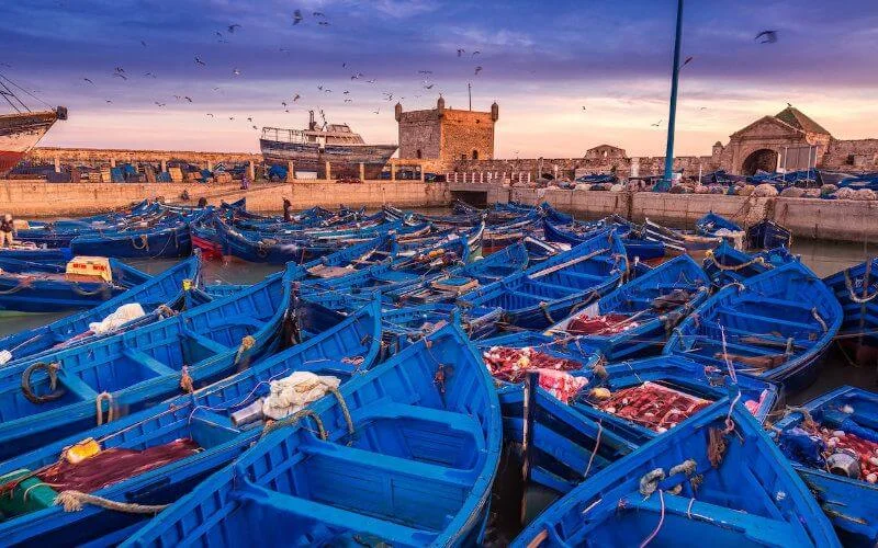 Duizenden Belgen vinden hun droom in Marokko