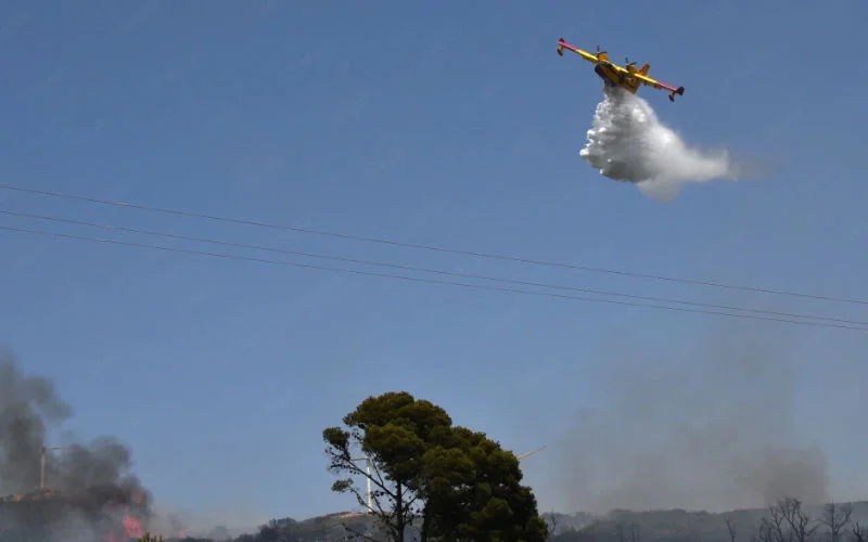 Bosbrand Al Hoceima na 3,7 hectare onder controle