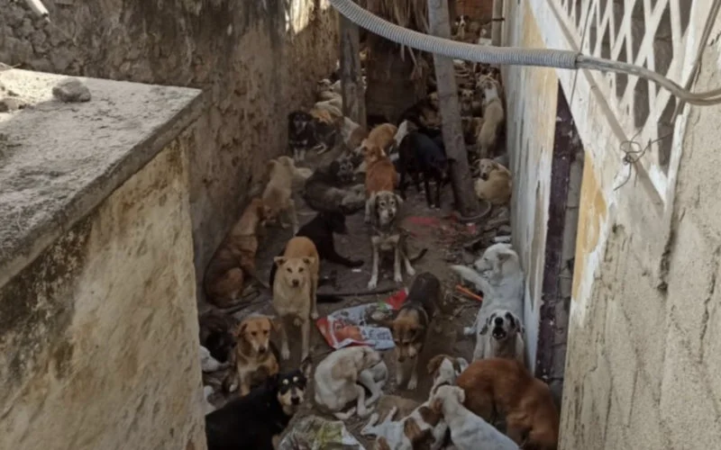 Britse celebs halen hard uit naar Marokko