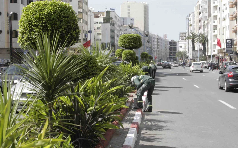 Horeca Casablanca woedend