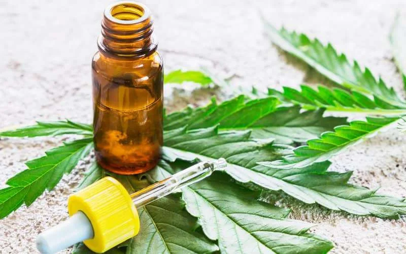 Cannabis: 86% Marokkanen voorstander van medisch gebruik