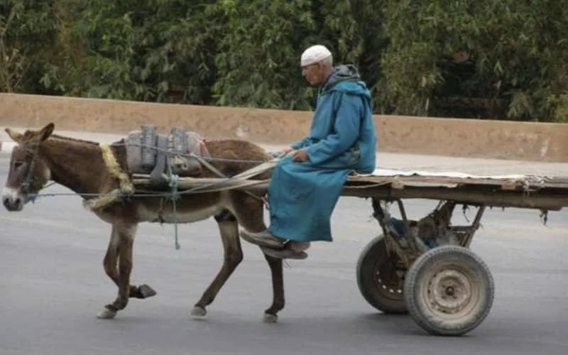 Trekkarren niet meer welkom in Casablanca