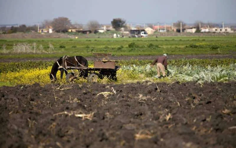 Groei Marokkaanse economie met 6,3% gedaald in 2020