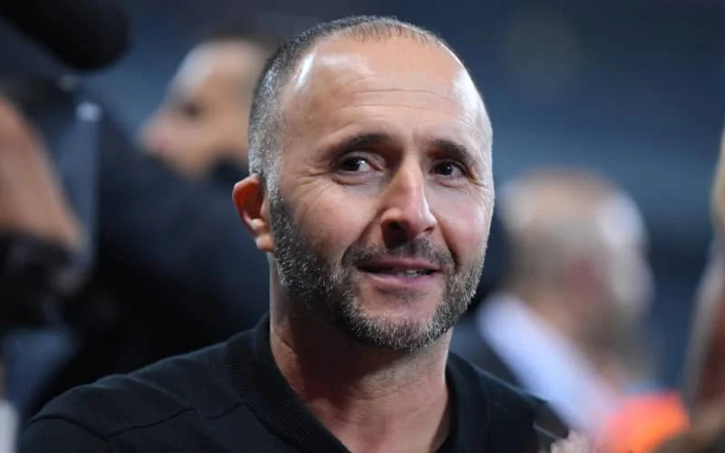 WK-2022: Djamel Belmadi steunt Marokko 