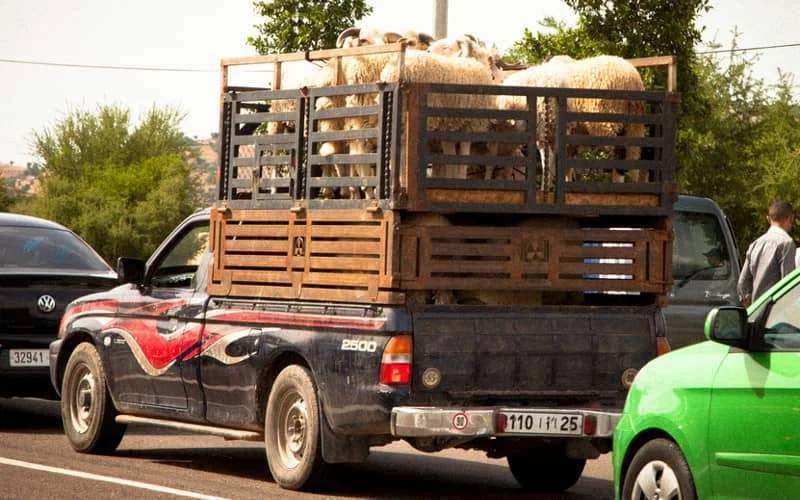Meeste Marokkanen brengen Eid ul-Adha thuis door