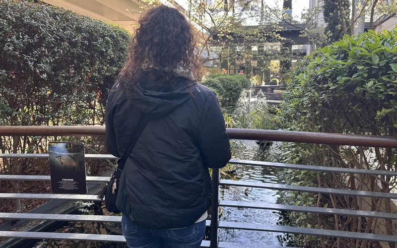 Gedwongen tot huwelijk in Marokko, daarna tot seks: Ariane's strijd 