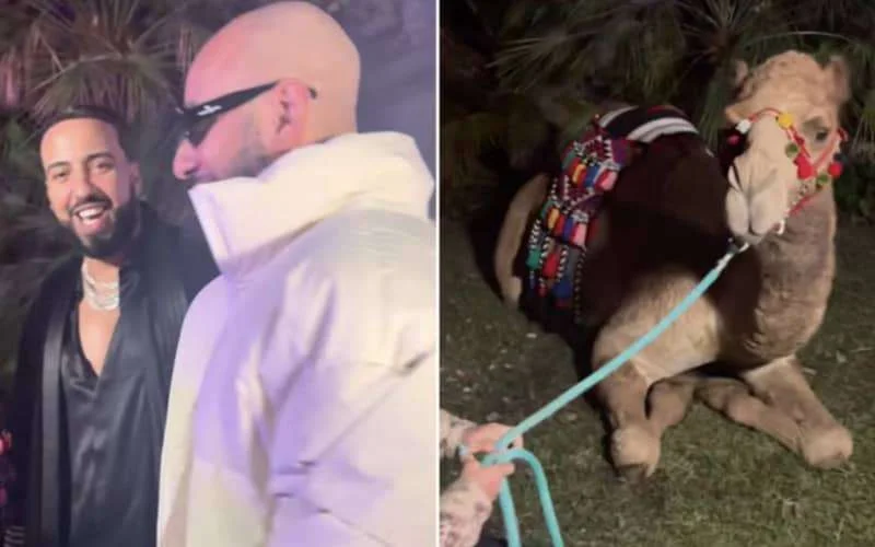 French Montana krijgt ongewoon cadeau voor verjaardag (video)