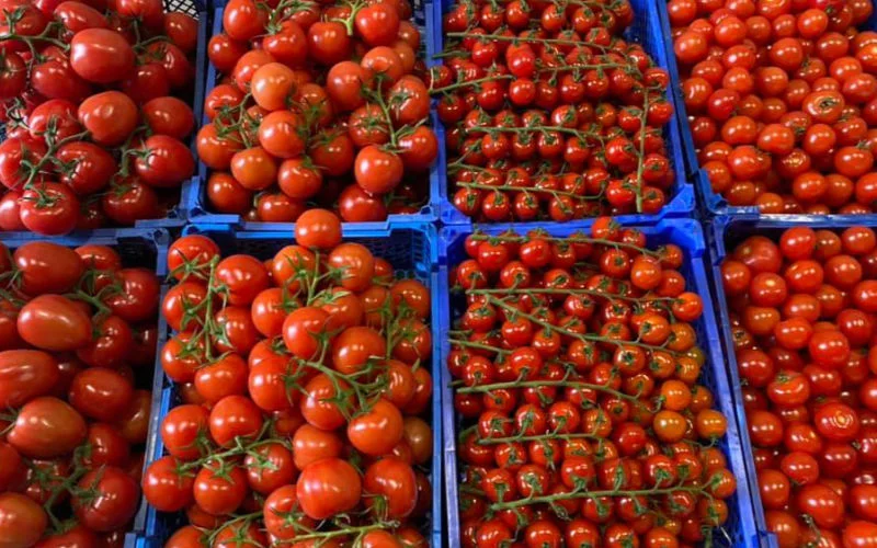Gevaarlijke Marokkaanse tomaten van de markt gehaald in Nederland