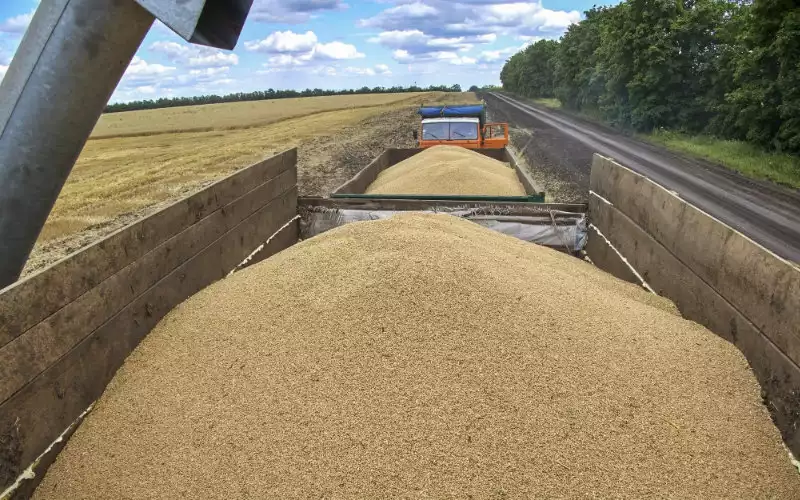 Marokko verwacht grote graanzending van Oekraïne