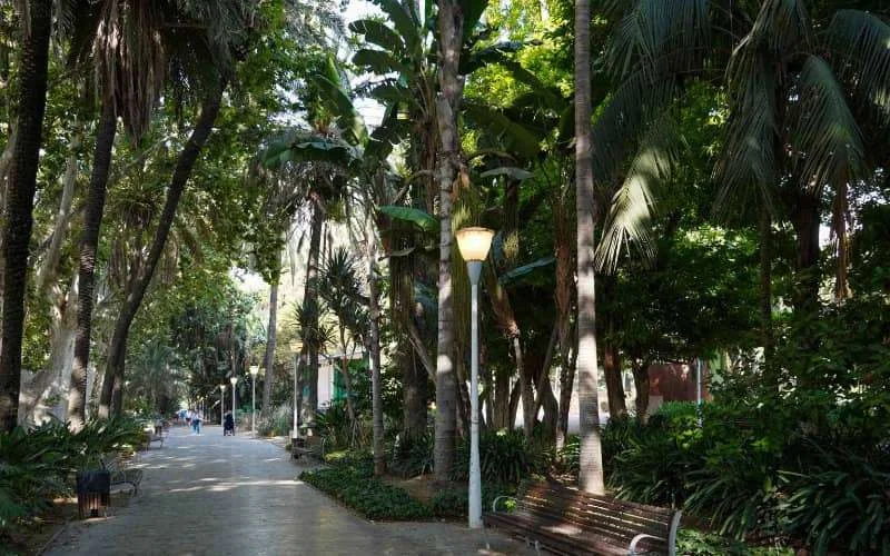 Groene gordel van Zuid-Spanje tot Marokko