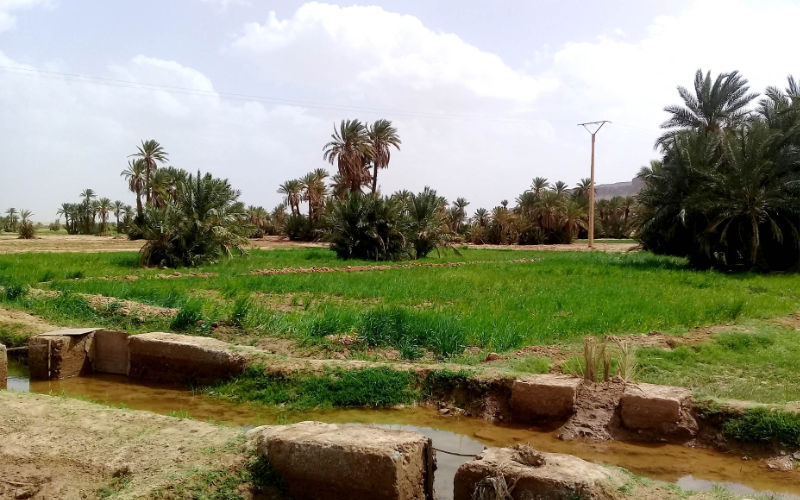Marokko pakt landroof keihard aan