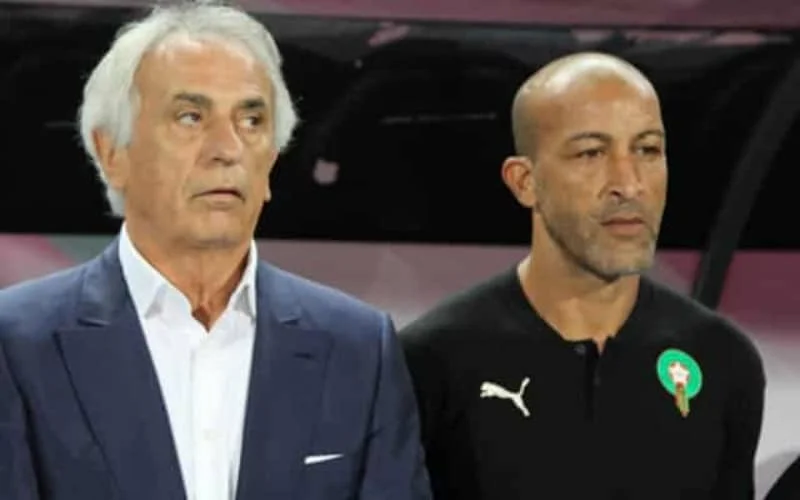 Vahid Halilhodzic "teleurgesteld in Mustapha Hadji"