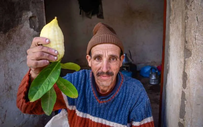 Israël importeert Marokkaanse etrog voor Soekot