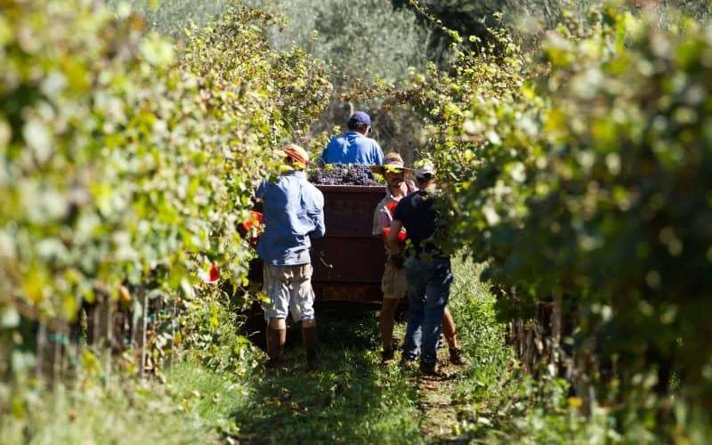 Italie kent werkvergunningen toe aan Marokkanen