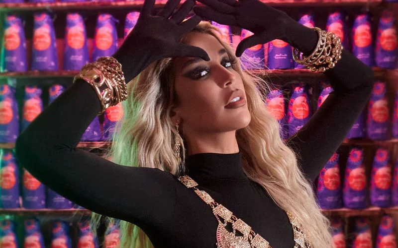 Karima Gouit gearresteerd voor beledigen politie