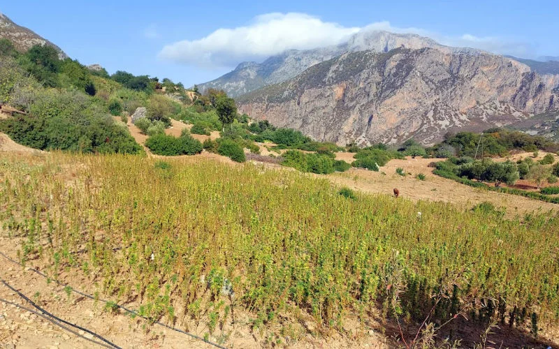 Inwoners Nador beschuldigen vastgoedmaffia van diefstal grond (video)