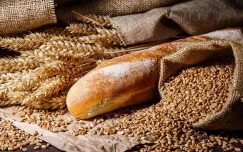 Tarwe Marokko: al 3 miljard dirham aan subsidies in 2022