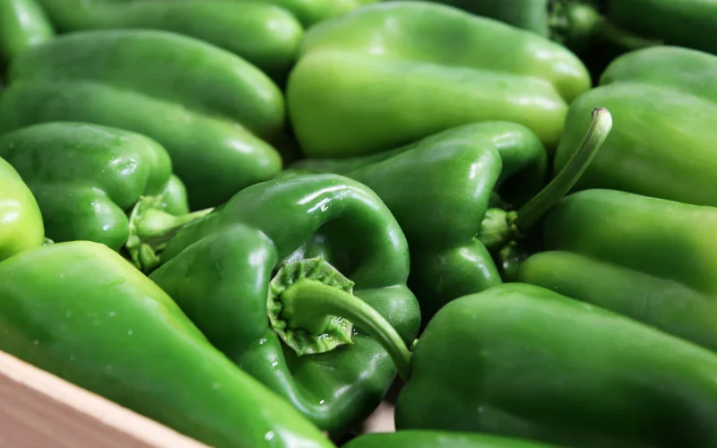 Verboden pesticiden in Marokkaanse paprika's in Europa