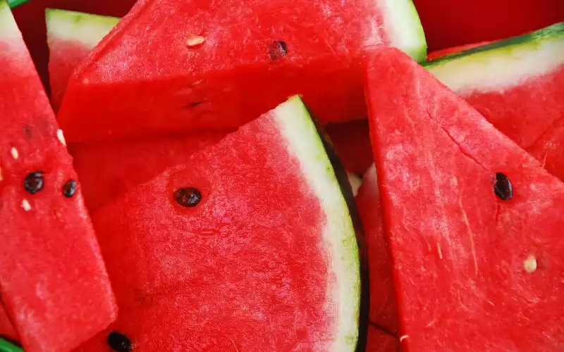 Spanje richt zich op pesticiden in strijd tegen invasie Marokkaanse watermeloenen