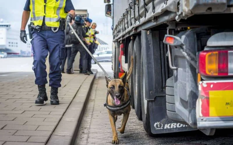 Nederland: Marokkaanse migranten aangetroffen in Hoek van Holland