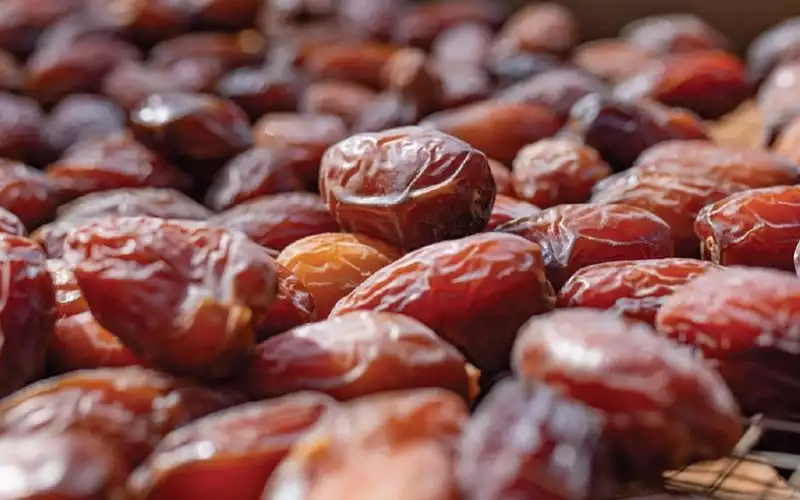 Marokko heeft ambitieuze doelstellingen voor dadelsector