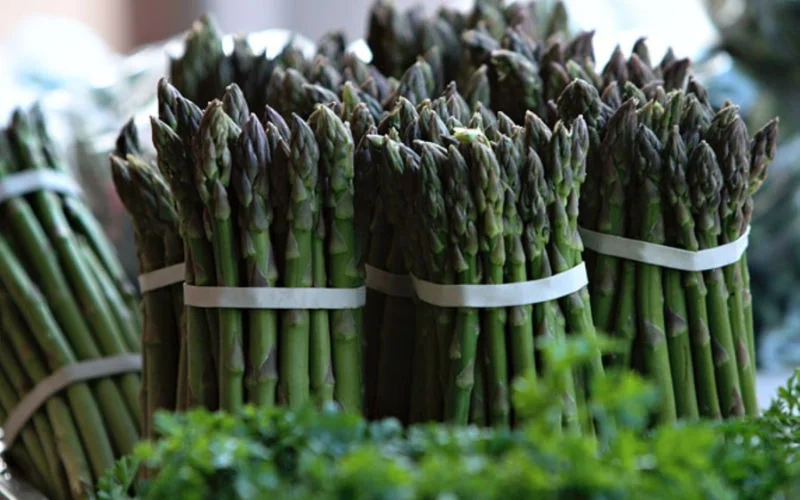 Marokko breekt exportrecord voor asperges, België nr 1 klant