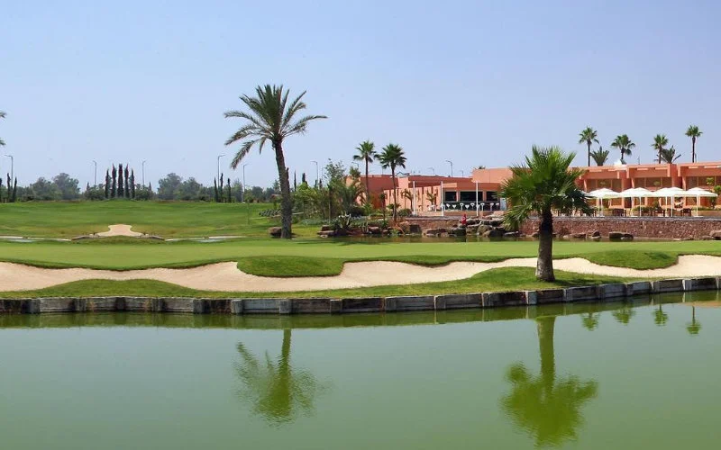 Marokko, koning van de Afrikaans green