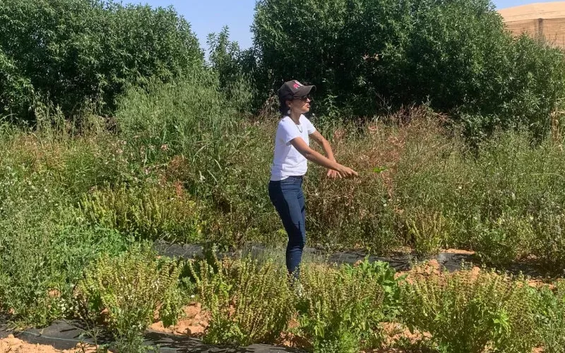 Marokkaanse startup laat de woestijn bloeien