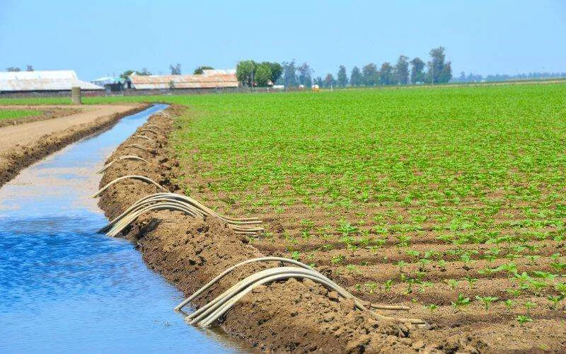 Landbouw: AfDB verleent Marokko lening van 1,2 miljard dirham