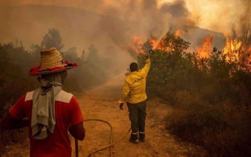 Dode en zwaargewonde bij bosbrand in Noord-Marokko
