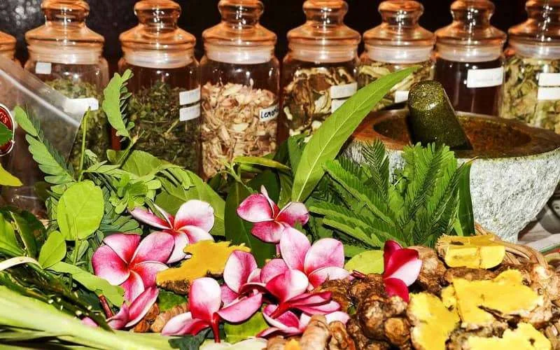 Marokko verbiedt invoer planten