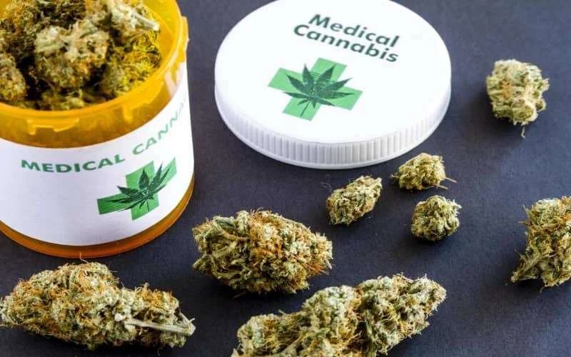 Medicinale cannabis wordt belangrijkste exportproduct van Marokko