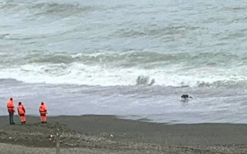 Neemt Marokko wraak op Spanje?