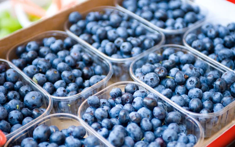 Nederland waarschuwt: glas in blauwe bessen uit Marokko