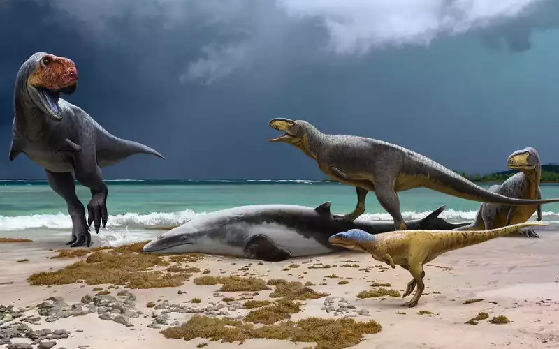 Revolutionaire dino-vondst: Marokko herschrijft geschiedenis