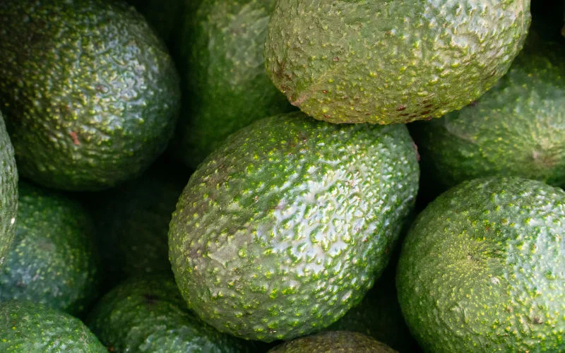 Marokkaanse groene goud in gevaar