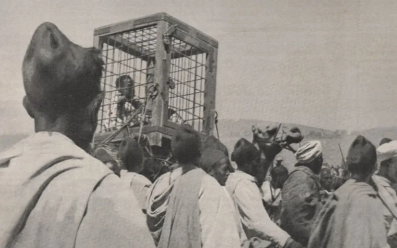 El Rogui, de man die de Marokkaanse troon wilde en werd verslonden door leeuwen 