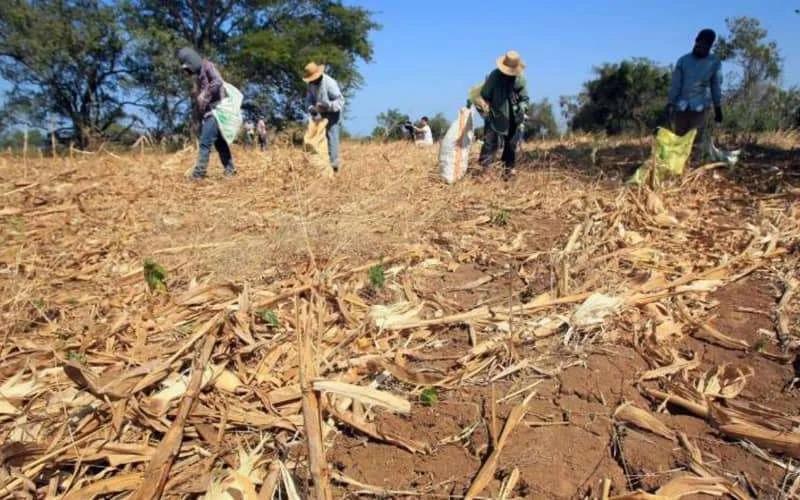 Marokko bij landen met grootste waterschaarste in 2040