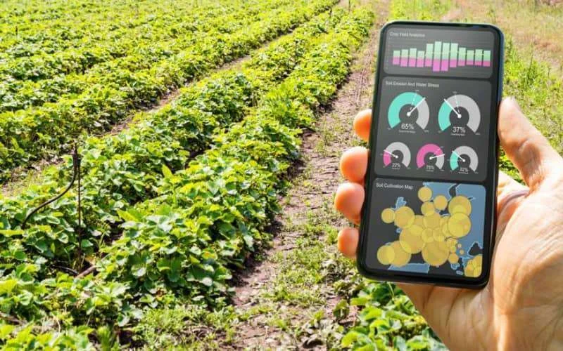 Marokko: academici ontwikkelen eerste slimme boerderij