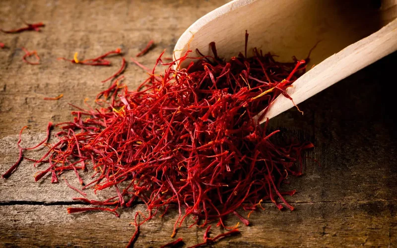 Marokko: duurste specerij ter wereld floreert in Azilal