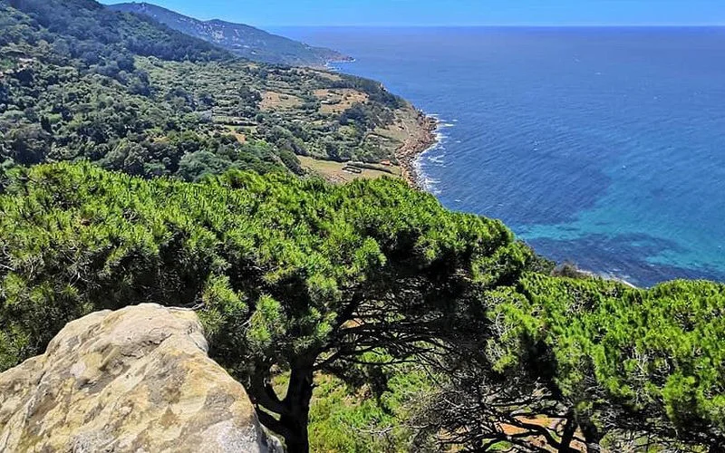 Strijd om laatste groene long: luxevilla's bedreigen bos Tanger