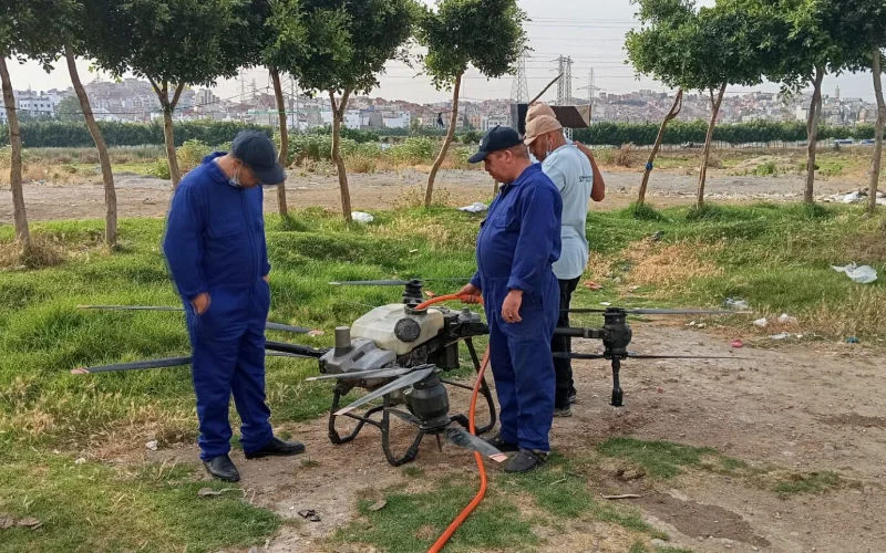 Tanger zet drones in tegen insectenplaag
