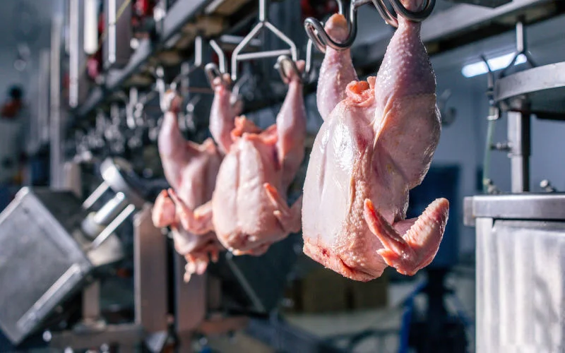 Tetouan bouwt nieuw modern slachthuis