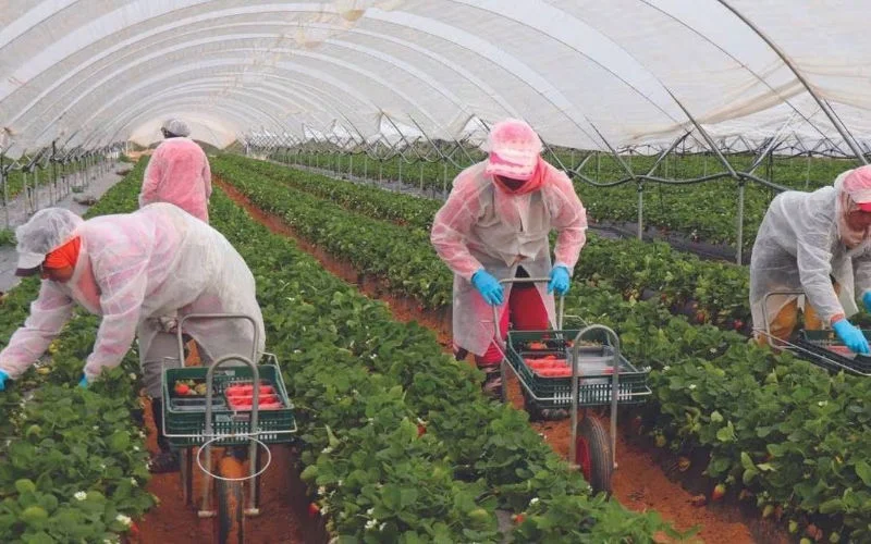 Marokko en Nederland bundelen krachten