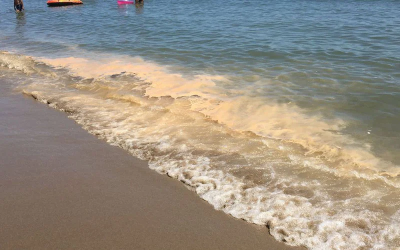 Milieuramp bij Tanger: stranden vervuild door afvalwater